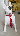 boz's Avatar